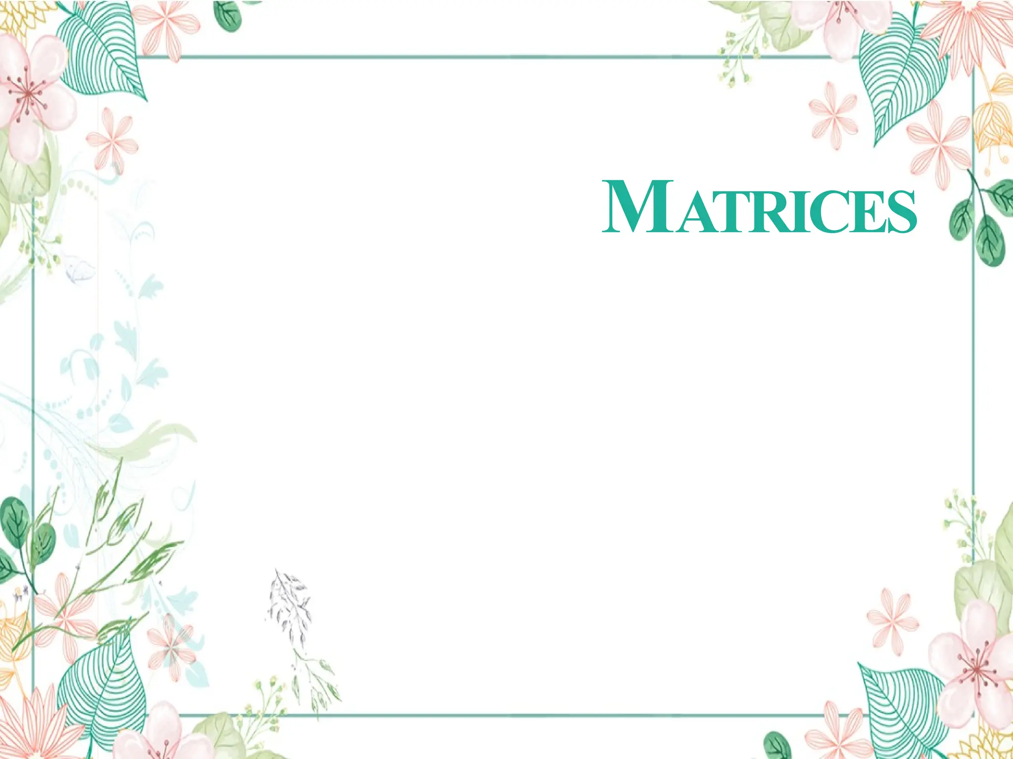 MATRICES
 