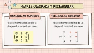 Matriz Diagonal Inferior MATRICES ELEMENTOS Y TIPOS DE MATRICES . | PDF