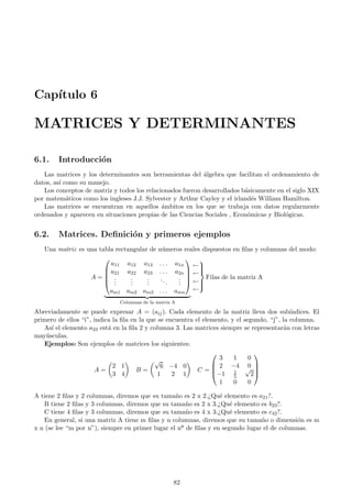 Cap´ıtulo 6
MATRICES Y DETERMINANTES
6.1. Introducci´on
Las matrices y los determinantes son herramientas del ´algebra que facilitan el ordenamiento de
datos, as´ı como su manejo.
Los conceptos de matriz y todos los relacionados fueron desarrollados b´asicamente en el siglo XIX
por matem´aticos como los ingleses J.J. Sylvester y Arthur Cayley y el irland´es William Hamilton.
Las matrices se encuentran en aquellos ´ambitos en los que se trabaja con datos regularmente
ordenados y aparecen en situaciones propias de las Ciencias Sociales , Econ´omicas y Biol´ogicas.
6.2. Matrices. Deﬁnici´on y primeros ejemplos
Una matriz es una tabla rectangular de n´umeros reales dispuestos en ﬁlas y columnas del modo:
A =





a11 a12 a13 . . . a1n
a21 a22 a23 . . . a2n
...
...
...
...
...
am1 am2 am3 . . . amn





Columnas de la matriz A
←
←
←
←



Filas de la matriz A
Abreviadamente se puede expresar A = (aij). Cada elemento de la matriz lleva dos sub´ındices. El
primero de ellos “i”, indica la ﬁla en la que se encuentra el elemento, y el segundo, “j”, la columna.
As´ı el elemento a23 est´a en la ﬁla 2 y columna 3. Las matrices siempre se representar´an con letras
may´usculas.
Ejemplos: Son ejemplos de matrices los siguientes:
A =
2 1
3 4
B =
√
6 −4 0
1 2 1
C =




3 1 0
2 −4 0
−1 1
5
√
2
1 0 0




A tiene 2 ﬁlas y 2 columnas, diremos que su tama˜no es 2 x 2.¿Qu´e elemento es a21?.
B tiene 2 ﬁlas y 3 columnas, diremos que su tama˜no es 2 x 3.¿Qu´e elemento es b23?.
C tiene 4 ﬁlas y 3 columnas, diremos que su tama˜no es 4 x 3.¿Qu´e elemento es c42?.
En general, si una matriz A tiene m ﬁlas y n columnas, diremos que su tama˜no o dimensi´on es m
x n (se lee “m por n”), siempre en primer lugar el nö de ﬁlas y en segundo lugar el de columnas.
82
 
