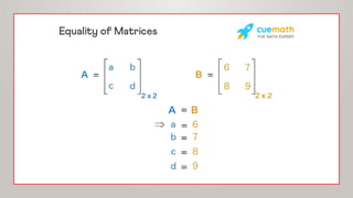 Matrices Math Basics MATRICES CHAPTER 1 ppt basic mathematics.pptx