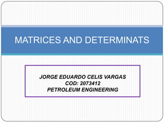 JORGE EDUARDO CELIS VARGAS COD: 2073412 PETROLEUM ENGINEERING MATRICES AND DETERMINATS 