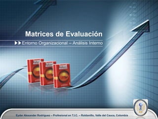 Matrices de Evaluación
    Entorno Organizacional – Análisis Interno




Eyder Alexander Rodríguez – Profesional en T.I.C. – Roldanillo, Valle del Cauca, Colombia   LOGO
 