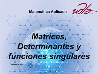 Matemática Aplicada
Matrices,
Determinantes y
funciones singulares
2023-20
1
Carlos Carrión
 