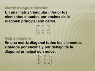 Matriz Diagonal Inferior Matrices | PPTX