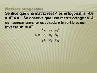 Matriz Real Matrices doc (1) | PPTX