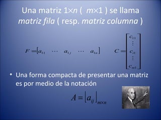 Una matriz 1  n  (  m  1 ) se llama  matriz fila  ( resp.  matriz columna  ) Una forma compacta de presentar una matriz es por medio de la notación 