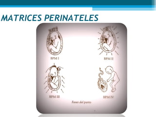 MATRICES PERINATELES
 