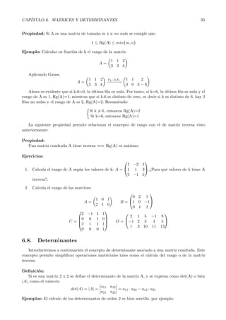 CAP´
   ITULO 6. MATRICES Y DETERMINANTES                                                                 95


Propiedad: Si A es una matriz de tama˜o m x n no nula se cumple que:
                                     n

                                       1 ≤ Rg(A) ≤ min{m, n}

Ejemplo: Calcular en funci´n de k el rango de la matriz:
                          o

                                                  1 1 2
                                           A=
                                                  3 3 k

   Aplicando Gauss,
                                     1 1 2      F −3·F    1 1  2
                               A=               −2− −1
                                                 − −→
                                     3 3 k                0 0 k−6
    Ahora es evidente que si k-6=0, la ultima ﬁla es nula. Por tanto, si k=6, la ultima ﬁla es nula y el
                                       ´                                         ´
rango de A es 1, Rg(A)=1, mientras que si k-6 es distinto de cero, es decir si k es distinto de 6, hay 2
ﬁlas no nulas y el rango de A es 2, Rg(A)=2. Resumiendo:

                                      Si k = 6, entonces Rg(A)=2
                                      Si k=6, entonces Rg(A)=1

   La siguiente propiedad permite relacionar el concepto de rango con el de matriz inversa visto
anteriormente:

Propiedad:
  Una matriz cuadrada A tiene inversa ⇐⇒ Rg(A) es m´ximo.
                                                   a

Ejercicios:
                                                             
                                                       1 −2 1
 1. Calcula el rango de A seg´n los valores de k: A = 1 1 3.¿Para qu´ valores de k tiene A
                             u                                        e
                                                       5 −1 k
    inversa?.

 2. Calcula el rango de las matrices:
                                                                     
                                                             0    2 1
                                   1 0 1
                               A=                      B = 1     0 −1
                                   2 1 0
                                                             0    4 2
                                      
                              2 −1 1 1                                    
                             0 0 1 0                     2     1 5 −1 8
                          C =
                             2 1 1 1
                                                    D = −1     2 3  4  5
                                                           1     3 10 11 13
                              0 0 0 1

6.8.    Determinantes
    Introduciremos a continuaci´n el concepto de determinante asociado a una matriz cuadrada. Este
                               o
concepto permite simpliﬁcar operaciones matriciales tales como el c´lculo del rango o de la matriz
                                                                    a
inversa.

Deﬁnici´n:o
    Si es una matriz 2 x 2 se deﬁne el determinante de la matriz A, y se expresa como det(A) o bien
|A|, como el n´mero:
              u
                                            a   a
                           det(A) = |A| = 11 12 = a11 · a22 − a12 · a21
                                            a21 a22
Ejemplos: El c´lculo de los determinantes de orden 2 es bien sencillo, por ejemplo:
              a
 