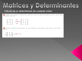 Cálculo de un determinante de cualquier orden
 