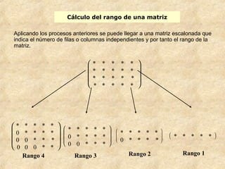 Cálculo del rango de una matriz 
Aplicando los procesos anteriores se puede llegar a una matriz escalonada que 
indica el número de filas o columnas independientes y por tanto el rango de la 
matriz. 
è ç ç æ ø ÷ ÷ ö 
* * * * * 
* * * * * 
* * * * * 
* * * * * 
Rango 4 
è ç ç æ 
ø ÷ ÷ ö 
* * * * * 
0 * * * * 
0 0 * * * 
0 0 0 * * 
Rango 3 
è ç ç æ 
ø ÷ ÷ ö 
* * * * * 
0 * * * * 
0 0 * * * 
Rango 2 
è ç ç æ 
ø ÷ ÷ ö 
* * * * * 
0 * * * * 
Rango 1 
è æ 
ø ö 
* * * * * 
 