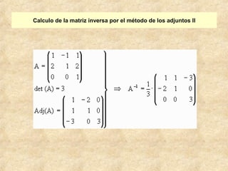 Calculo de la matriz inversa por el método de los adjuntos II 
 
