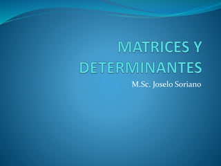 M.Sc. Joselo Soriano
 