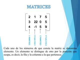2 1 7 5
3 22 0 5
4 -1 5 9
COLUMNA1
COLUMNA2
COLUMNA3
COLUMNA4
Cada uno de los números de que consta la matriz se denomina
elemento. Un elemento se distingue de otro por la posición que
ocupa, es decir, la fila y la columna a la que pertenece.
 