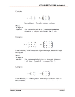 MATRICES Y DETERMINANTES | Algebra Lineal
Gustavo Salinas E. Página 10
 