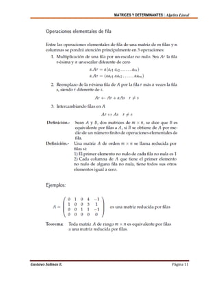 MATRICES Y DETERMINANTES | Algebra Lineal
Gustavo Salinas E. Página 11
 