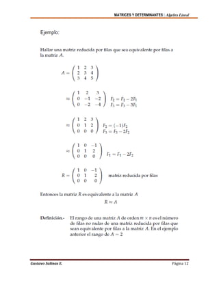 MATRICES Y DETERMINANTES | Algebra Lineal
Gustavo Salinas E. Página 12
 
