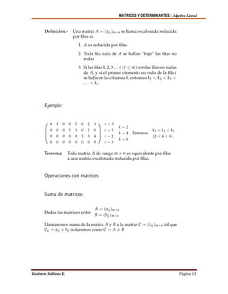 MATRICES Y DETERMINANTES | Algebra Lineal
Gustavo Salinas E. Página 13
 