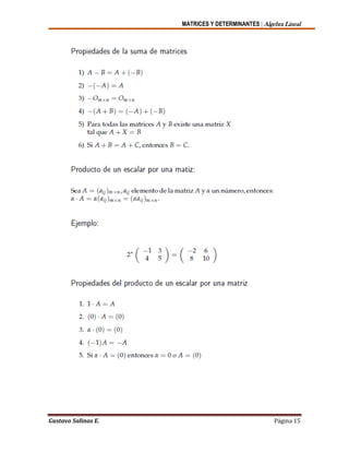 MATRICES Y DETERMINANTES | Algebra Lineal
Gustavo Salinas E. Página 15
 