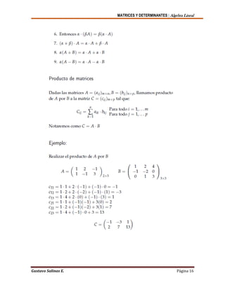 MATRICES Y DETERMINANTES | Algebra Lineal
Gustavo Salinas E. Página 16
 