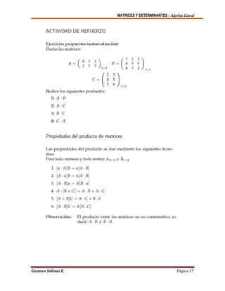 MATRICES Y DETERMINANTES | Algebra Lineal
Gustavo Salinas E. Página 17
 