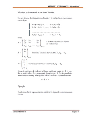 MATRICES Y DETERMINANTES | Algebra Lineal
Gustavo Salinas E. Página 18
 
