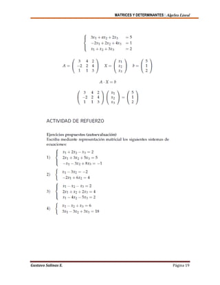 MATRICES Y DETERMINANTES | Algebra Lineal
Gustavo Salinas E. Página 19
 