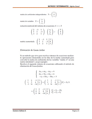 MATRICES Y DETERMINANTES | Algebra Lineal
Gustavo Salinas E. Página 21
 