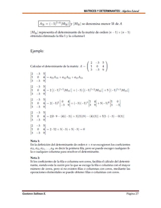 MATRICES Y DETERMINANTES | Algebra Lineal
Gustavo Salinas E. Página 27
 