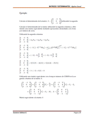 MATRICES Y DETERMINANTES | Algebra Lineal
Gustavo Salinas E. Página 28
 