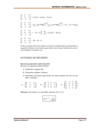 MATRICES Y DETERMINANTES | Algebra Lineal
Gustavo Salinas E. Página 29
 