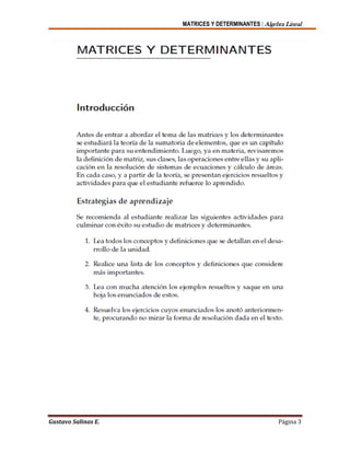MATRICES Y DETERMINANTES | Algebra Lineal
Gustavo Salinas E. Página 3
 