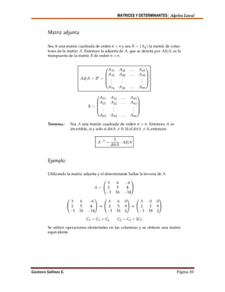 MATRICES Y DETERMINANTES | Algebra Lineal
Gustavo Salinas E. Página 30
 