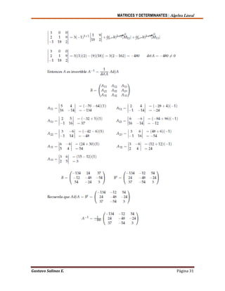 MATRICES Y DETERMINANTES | Algebra Lineal
Gustavo Salinas E. Página 31
 