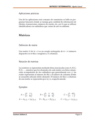 MATRICES Y DETERMINANTES | Algebra Lineal
Gustavo Salinas E. Página 4
 