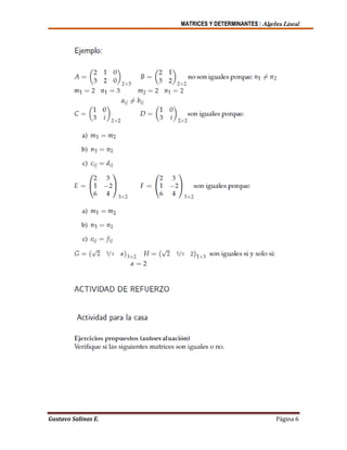 MATRICES Y DETERMINANTES | Algebra Lineal
Gustavo Salinas E. Página 6
 