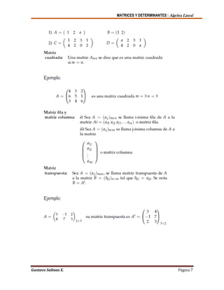 MATRICES Y DETERMINANTES | Algebra Lineal
Gustavo Salinas E. Página 7
 