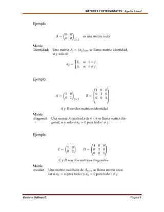 MATRICES Y DETERMINANTES | Algebra Lineal
Gustavo Salinas E. Página 9
 