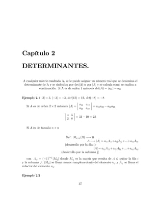 Capítulo 2
DETERMINANTES.
A cualquier matriz cuadrada A, se le puede asignar un número real que se denomina el
determinante de A y se simboliza por det(A) o por jAj y se calcula como se explica a
continuación. Si A es de orden 1 entonces det(A) = ja11j = a11
Ejemplo 2.1 j3j = 3; j 3j = 3; det(12) = 12, det( 8) = 8
Si A es de orden 2 2 entonces jAj =
a11 a12
a21 a22
= a11a22 a12a21
4 5
2 8
= 32 10 = 22
Si A es de tamaño n n
Det : Mn n(R) ! R
A ! jAj = ai1Ai1 +ai2Ai2 +:::+ainAin
(desarrollo por la …la i)
jAj = a1jA1j +a2jA2j +:::+anjAnj
(desarrollo por la columna j)
con Aij = ( 1)i+j
jMijj donde Mij es la matriz que resulta de A al quitar la …la i
y la columna j. jMijj se llama menor complementario del elemento aij y Aij se llama el
cofactor del elemento aij
Ejemplo 2.2
37
 