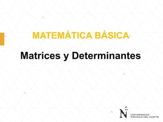 MATEMÁTICA BÁSICA
Matrices y Determinantes
 