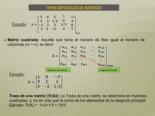  Matriz cuadrada: Aquella que tiene el número de filas igual al número de
columnas (m = n), es decir:
TIPOS ESPECIALES DE MATRICES
Ejemplo:
Ejemplo:
Diagonal PrincipalDiagonal Secundaria
Traza de una matriz (Tr(A)): La Traza de una matriz, se determina en matrices
cuadradas, y, no es más que la suma de los elementos de la diagonal principal.
Ejemplo: Tr(A) = 1+2+1/3 = 10/3.
 