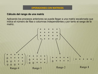 Aplicando los procesos anteriores se puede llegar a una matriz escalonada que
indica el número de filas o columnas independientes y por tanto el rango de la
matriz.







* * * * *
* * * * *
* * * * *
* * * * *
Rango 4







* * * * *
0 * * * *
0 0 * * *
0 0 0 * *
Rango 3







* * * * *
0 * * * *
0 0 * * *
Rango 2








* * * * *
0 * * * *
Rango 1




* * * * *
OPERACIONES CON MATRICES
Cálculo del rango de una matriz
 