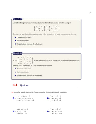 Matriz Inconsistente Matrices y sistemas lineales | PDF
