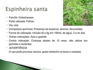    Família: Celastraceae
   Parte utilizada: Folhas
   Via: oral
   Compostos químicos: Presença de terpenos, taninos, flavonóides
   Forma de utilização: Infusão (6 a 9g em 150mL de água, 3 a 4x dia)
   Outras indicações: Azia e gastrite
   Contra indicação: Crianças abaixo de 12 anos, não utilizar em
    grávidas e lactantes.
   ADVERTÊNCIA
    O uso pode provocar secura, gosto estranho na boca e naúseas.
 