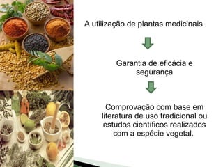 A utilização de plantas medicinais




         Garantia de eficácia e
              segurança



      Comprovação com base em
    literatura de uso tradicional ou
     estudos científicos realizados
         com a espécie vegetal.
 