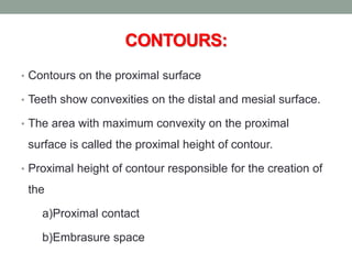 CONTOURS:
• Contours on the proximal surface
• Teeth show convexities on the distal and mesial surface.
• The area with maximum convexity on the proximal
surface is called the proximal height of contour.
• Proximal height of contour responsible for the creation of
the
a)Proximal contact
b)Embrasure space
 