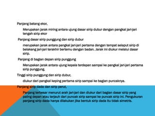 Panjang batang ekor,
Merupakan jarak miring antara ujung dasar sirip dubur dengan pangkal jari-jari
tengah sirip ekor
Panjang dasar sirip punggung dan sirip dubur
merupakan jarak antara pangkal jari-jari pertama dengan tempat selaput sirip di
belakang jari-jari terakhir bertemu dengan badan. Jarak ini diukur melalui dasar
sirip.
Panjang di bagian depan sirip punggung
Merupakan jarak antara ujung kepala terdepan sampai ke pangkal jari-jari pertama
sirip punggung.
Tinggi sirip punggung dan sirip dubur,
diukur dari pangkal keping pertama sirip sampai ke bagian puncaknya.
Panjang sirip dada dan sirip perut,
Panjang terbesar menurut arah jari-jari dan diukur dari bagian dasar sirip yang
paling depan atau terjauh dari puncak sirip sampai ke puncak sirip ini. Pengukuran
panjang sirip dada hanya dilakukan jika bentuk sirip dada itu tidak simetris.
 