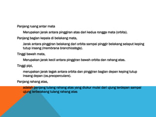 Panjang ruang antar mata
Merupakan jarak antara pinggiran atas dari kedua rongga mata (orbita).
Panjang bagian kepala di belakang mata,
Jarak antara pinggiran belakang dari orbita sampai pinggir belakang selaput keping
tutup insang (membrana branchiostega).
Tinggi bawah mata,
Merupakan jarak kecil antara pinggiran bawah orbita dan rahang atas.
Tinggi pipi,
merupakan jarak tegak antara orbita dan pinggiran bagian depan keping tutup
insang depan (os.preoperculare).
Panjang rahang atas,
adalah panjang tulang rahang atas yang diukur mulai dari ujung terdepan sampai
ujung terbelakang tulang rahang atas
 