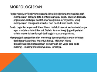 MORFOLOGI IKAN
Pengertian Morfologi yaitu cabang ilmu biologi yang membahas dan
mempelajari tentang tata bentuk luar atau suatu sruktur dari satu
organisme. Sebagai contoh morfologi ikan, artinya ilmu yang
mempelajari mengenai struktur dan bentuk dari suatu ikan.
Suatu organisme perlu di identifikasi melalui bentuk serta strukturnya
agar mudah untuk di kenali. Selain itu morfologi juga di pelajari
untuk menentukan fungsi dari bagian suatu organisme.
Mempeajari pengertian dari morfologi tentunya tidak akan terlepas
dari dasar klasifikasi makhluk hidup. Makhluk hidup
diklasifikasikan berdasarkan persamaan ciri yang ada pada
masing – masing individunya atau jenisnya.
 