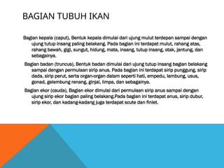 BAGIAN TUBUH IKAN
Bagian kepala (caput), Bentuk kepala dimulai dari ujung mulut terdepan sampai dengan
ujung tutup insang paling belakang. Pada bagian ini terdapat mulut, rahang atas,
rahang bawah, gigi, sungut, hidung, mata, insang, tutup insang, otak, jantung, dan
sebagainya.
Bagian badan (truncus), Bentuk badan dimulai dari ujung tutup insang bagian belakang
sampai dengan permulaan sirip anus. Pada bagian ini terdapat sirip punggung, sirip
dada, sirip perut, serta organ-organ dalam seperti hati, empedu, lambung, usus,
gonad, gelembung renang, ginjal, limpa, dan sebagainya.
Bagian ekor (cauda), Bagian ekor dimulai dari permulaan sirip anus sampai dengan
ujung sirip ekor bagian paling belakang.Pada bagian ini terdapat anus, sirip dubur,
sirip ekor, dan kadang-kadang juga terdapat scute dan finlet.
 