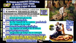 1.- ADÁN FUE CREADO PRIMERO, LUEGO EVA.
2.- EL MARIDO ES, POR TANTO, EL JEFE, EL
PROVEEDOR Y EL PROTECTOR DE LA FAMILIA.
3.- EVA FUE HECHA PARA EL MISMO ADÁN.
4.- EVA NO FUE QUITADA DE SU PIE,
5.- EVA NO FUE TOMADA DE SU CABEZA,
6.- EVA FUE TOMADA DE SU LADO,
7.- EVA FUE TOMADA DE DEBAJO DE SU BRAZO,
8.- EVA FUE SACADA DE CERCA DE SU CORAZÓN
9.- EL MODELO DE DIOS PARA EL MATRIMONIO INCLUÍA A
UN HOMBRE Y UNA MUJER UNIDOS PARA TODA LA VIDA.
7
 
